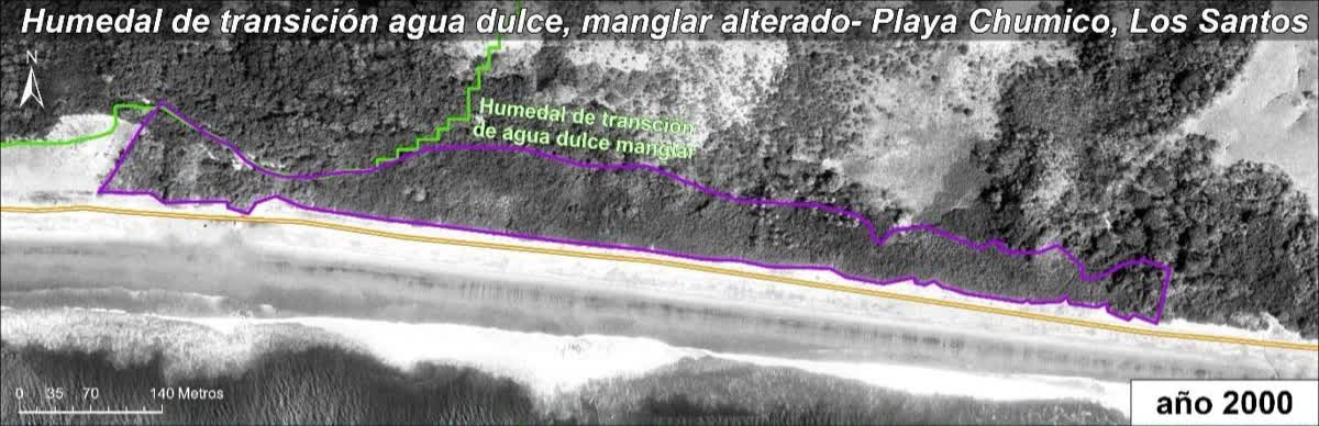 Ortofoto en blanco y negro del año 2000: el humedal de transición y el manglar de playa El Chumico, íntegros